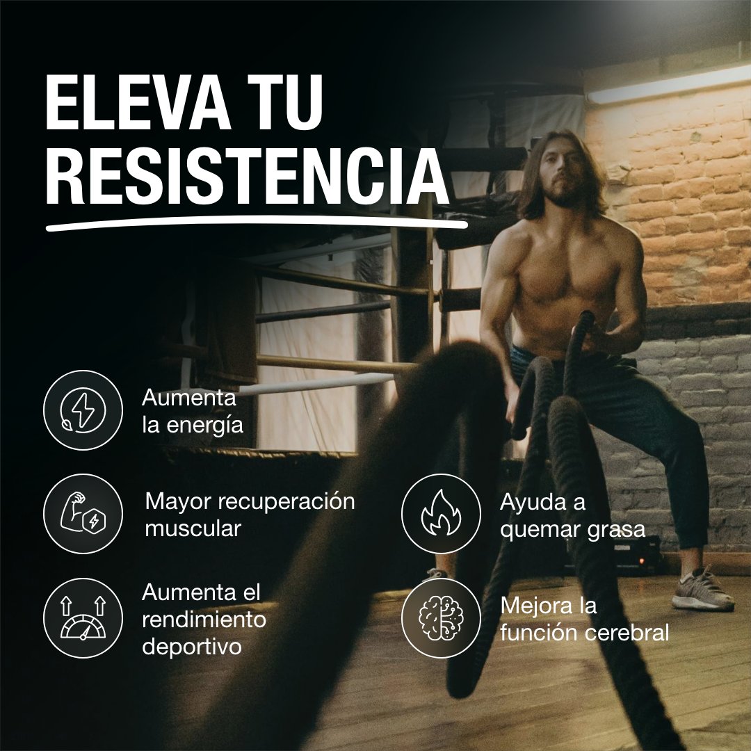 carnitina-carnipure-beneficios-rendimiento