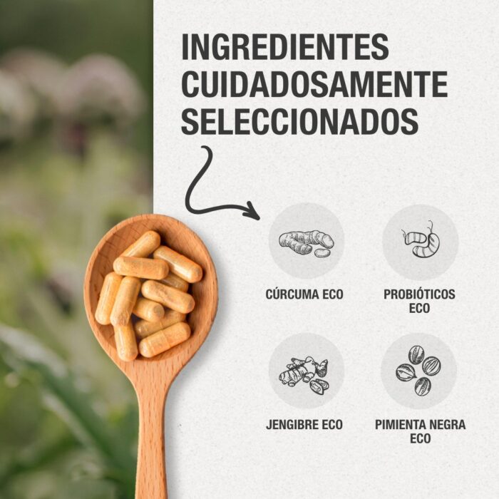 Cúrcuma con probióticos - Imagen 5