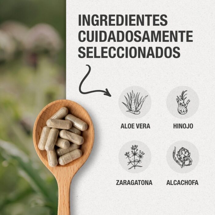 Detox alcachofa - Imagen 6